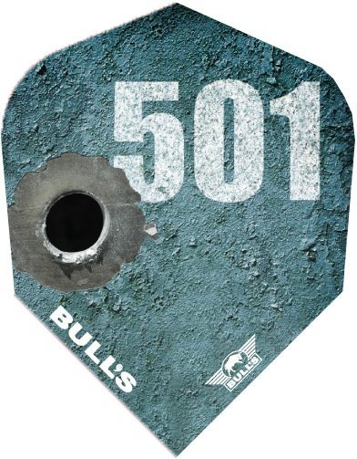 Bull's Series 100 @501 flights No.6